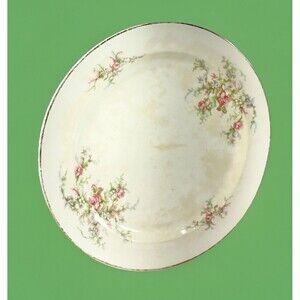 Taylor, Smith & Taylor Vintage Porcelain 10” Single Dinner Plate